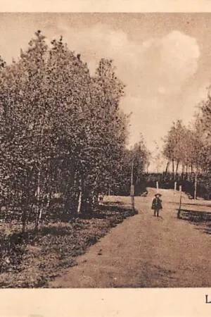 Schiedam Laantje Sterrebosch HC60398 Najlepsza cena