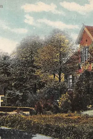 Boskoop Biezen 1916 HC60285 Wysoka jakość