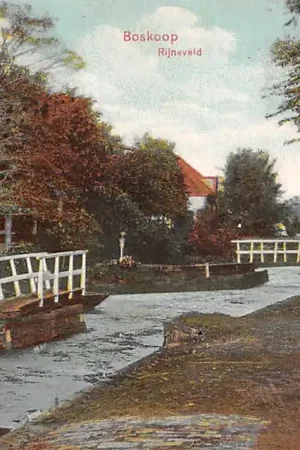 Zamów teraz Boskoop Rijneveld 1911 HC60279