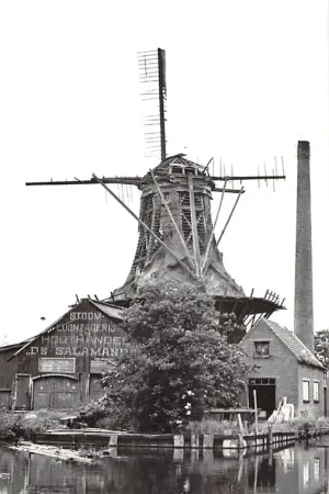 Autentyczny Leidschendam Zaagmolen De Salamander in verval Stoom houtzagerij en Houthandel HC59815
