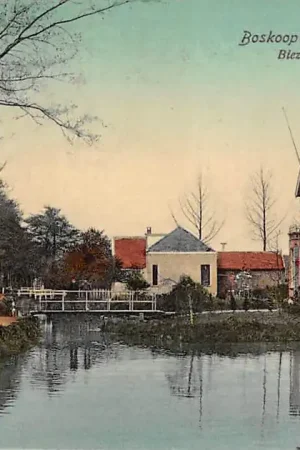 Boskoop Biezen 1908 HC59824 Niska cena