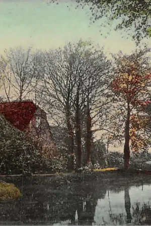 Boskoop Biezen 1908 HC59899 Najlepsza cena