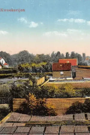 Boskoop Kweekerijen HC59842 Zamów teraz