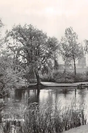 Voorschoten Burg. Berkhoutpark 1964 HC59066 Popularny