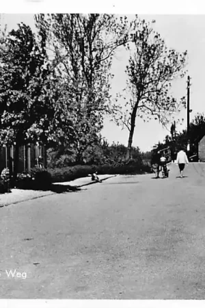 Ammerstol Nieuwe Weg Krimpenerwaard 1957 HC57736 Zamów teraz