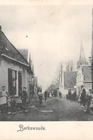 Berkenwoude Berkewoude 1902 Krimpenerwaard HC57686 Wyprzedaż