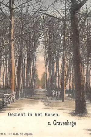 Bezpieczna płatność 's-Gravenhage Gezicht in het Bosch HC57638