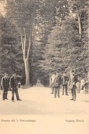 Szybka dostawa 's-Gravenhage Ingang Bosch met postbodes 1900 HC57330