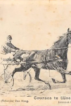 's-Gravenhage K. van Vliet Courses te Woestduin Paarden renbaan Race HC57341 Bezpieczna płatność
