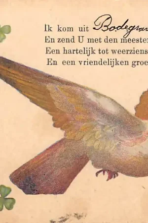 Wyprzedaż Duif Ik kom uit Bodegraven gevlogen 1900 HC55621