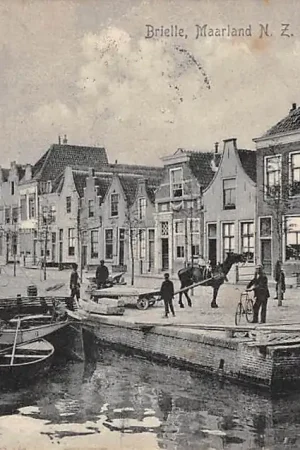 Brielle Maarland N.Z. HC54920 Kup teraz