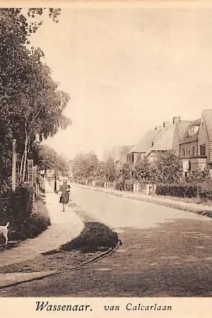 Wassenaar Van Calcarlaan \\u2018s-Gravenhage HC53856 Oryginalny