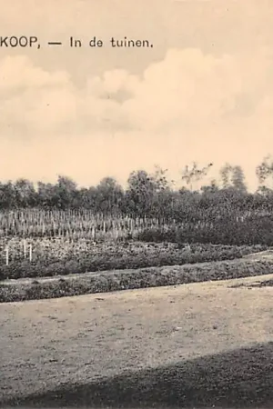 Autentyczny Boskoop In de Tuinen HC53823