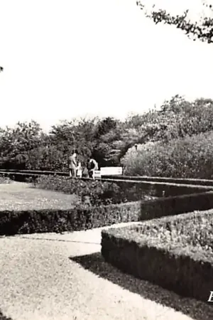 Zamów teraz Boskoop Vijverpark 1956 HC53813