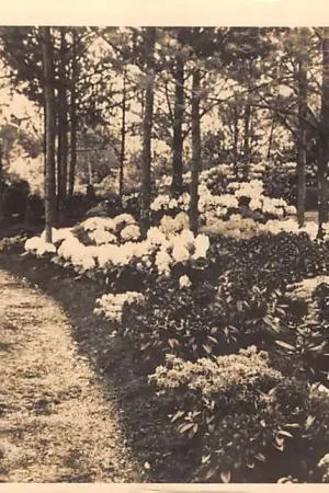 Zwrot pieniędzy Boskoop Bloemen tentoonstelling 1935 met speciaal stempel HC53810