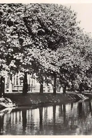 Wysoka jakość Alphen aan den Rijn Paradijslaan 1951 HC53540