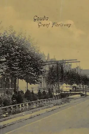 Wysoka jakość Gouda Graaf Florisweg 1908 HC53440