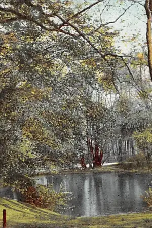 Tylko dziś 's-Gravenhage Vijver in het Haagsche Bosch 1900 HC53219