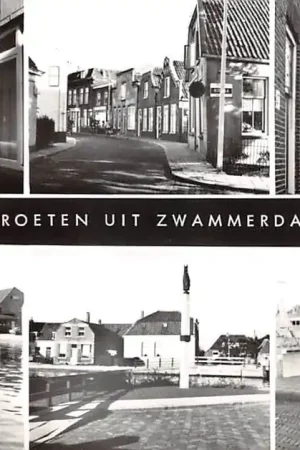 Zwammerdam Zesluik Bodegraven Alphen aan den Rijn HC51304 Tani