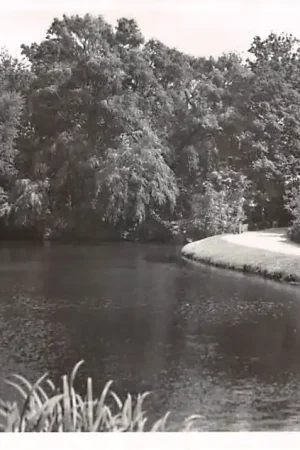 Zamów teraz Schiedam Julianapark HC50713