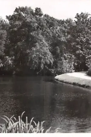 Schiedam Julianapark HC50711 Premium