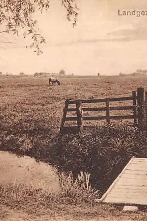 Autentyczny Lekkerkerk Landgezicht Krimpenerwaard HC50170