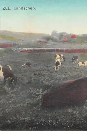 Bezpieczna płatność Oostvoorne Landschap met koeien in de wei 1922 HC49827