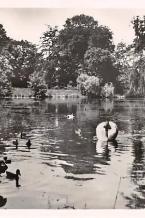 Tylko dziś Wassenaar Paauwvijver 1953 's-Gravenhage HC49797