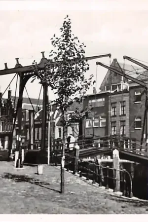 Dordrecht Wolwevershaven HC49590 Rabat