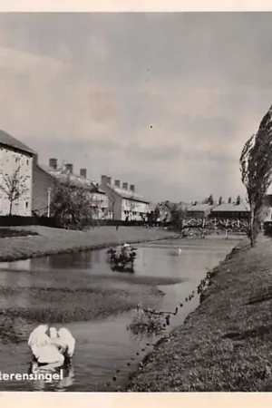 Alblasserdam Van Eesterensingel 1953 Alblasserwaard HC49405 Wysoka jakość