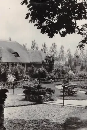 Alphen aan den Rijn Int. Vogelpark Avifauna Licht en donker Huis 1950 HC49393 Szybka dostawa