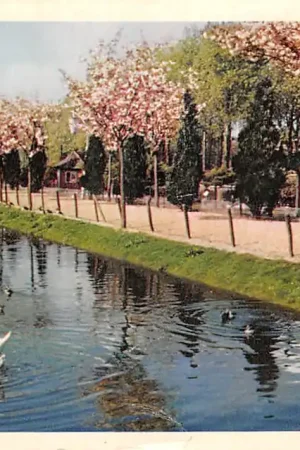 Alphen aan den Rijn Avifauna 1966 HC49389 Zamów teraz