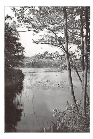 's-Gravenhage Meer en Bosch Wandelpark in het toekomstige Westelijk stadsdeel HC49262 Zwrot pieniędzy