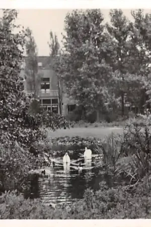 Voorschoten Burg Berkhoutpark HC48473 Wyprzedaż