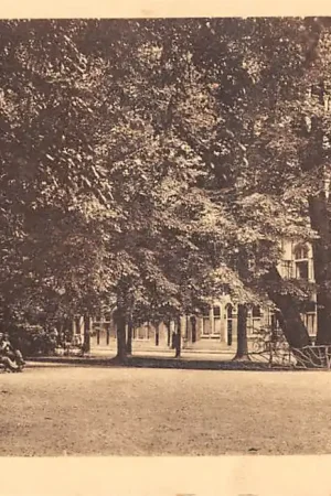 Ekspresowa dostawa Schiedam De Plantage 1928 HC47693