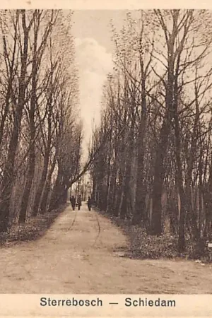 Schiedam Sterrebosch 1927 HC44111 Zwrot pieniędzy