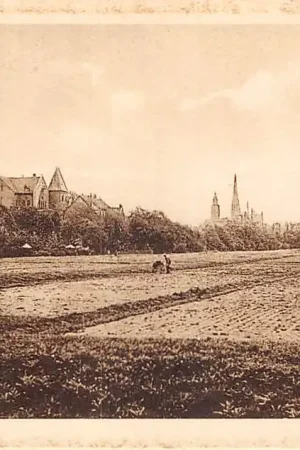 Zwrot pieniędzy Rotterdam Land van Hoboken HC44086