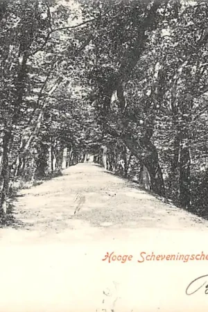Scheveningen Hooge Scheveningsche Weg 1901 's-Gravenhage HC42983 Nowość