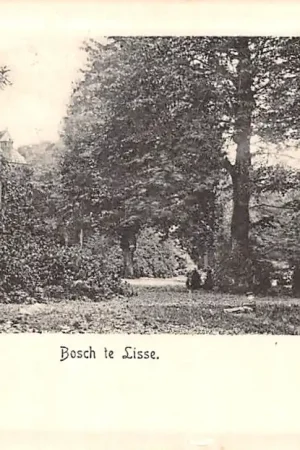 Wyprzedaż Lisse Bosch te Lisse 1900 HC42980