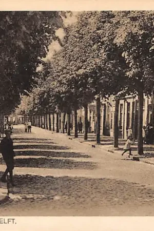 Delft Harmenkokslaan HC41136 Autentyczny