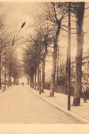 Voorburg Koninginnelaan 1919 's-Gravenhage HC39052 Kup teraz