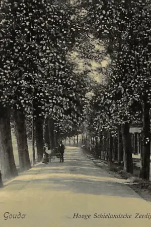 Gouda Hooge Schielandsche Zeedijk HC38350 Premium