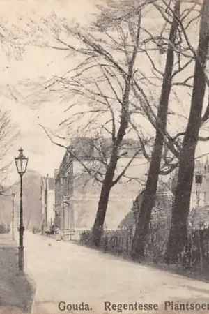 Wysoka jakość Gouda Regentesseplantsoen 1915 HC38063