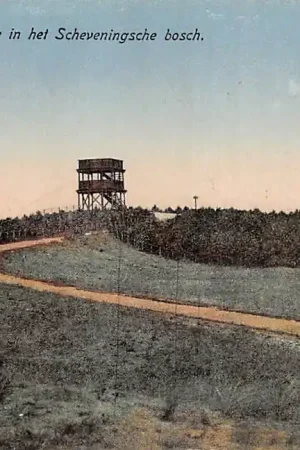 Wysoka jakość 's-Gravenhage Belvedere in het Scheveningsche bosch 1919 HC37974