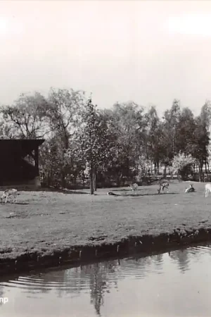 Sliedrecht Hertenkamp 1971 HC37879 Darmowa dostawa