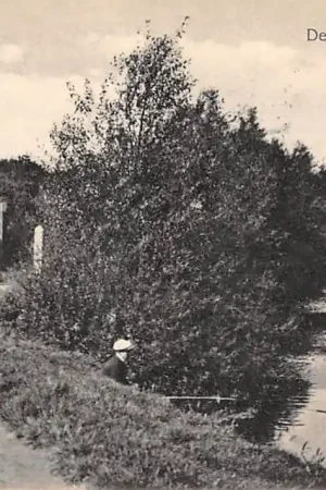 Darmowa dostawa 's-Gravenhage \\