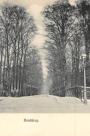 Ekspresowa dostawa 's-Gravenhage Boschbrug 1900 HC37357