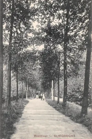 Sliedrecht Boschlaan 1910 HC37098 Ekspresowa dostawa