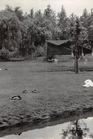 Sliedrecht Hertenkamp 1960 HC37189 Promocja