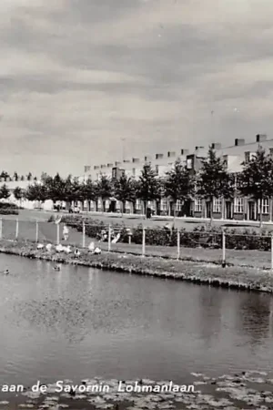 Sliedrecht De Savornin Lohmanlaan met Vogelvijver 1963 HC37183 Oferta
